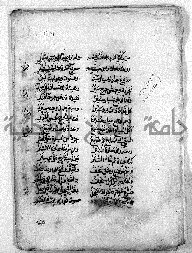 مجهول نظم
