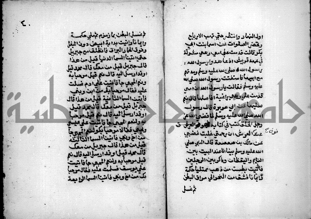 مختصر صحيح البخاري = جمع النهاية في بدء الخير والغاية