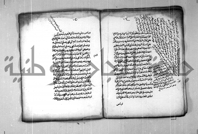 شرح الهمزية  