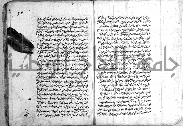 فتاوي تركية