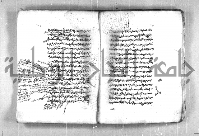 شمايل المصطفى 