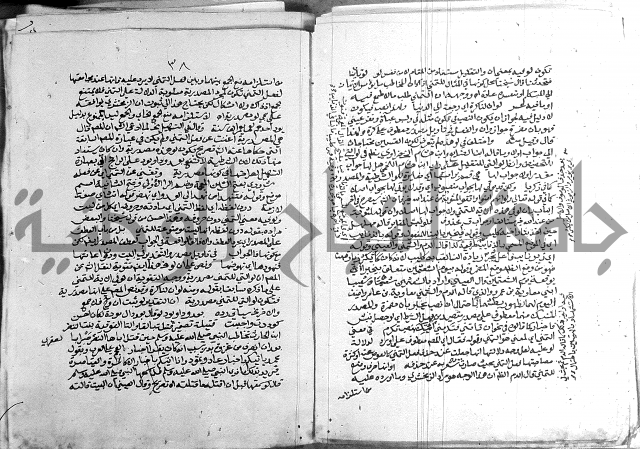 كتاب في اللغة العربية