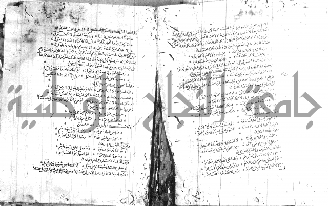 شرح لامية العجم 