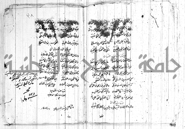 الافية على الحديث 