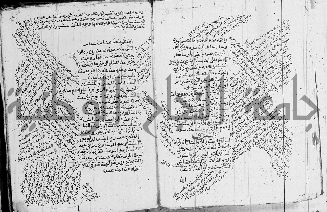 الجامع الصغير