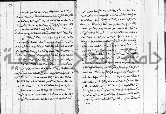 الدرديري على الهدهدي