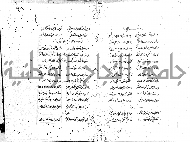 كتاب يوسف زليخا المؤلف 
