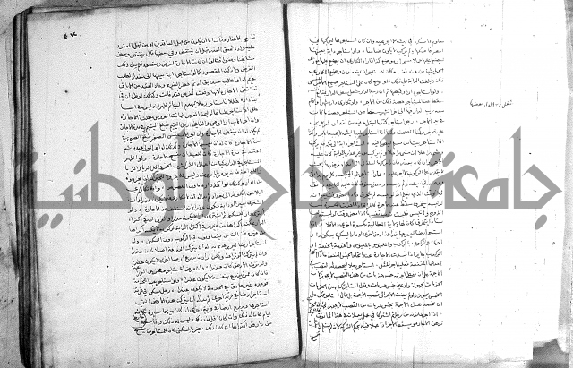 خزانة المفتين