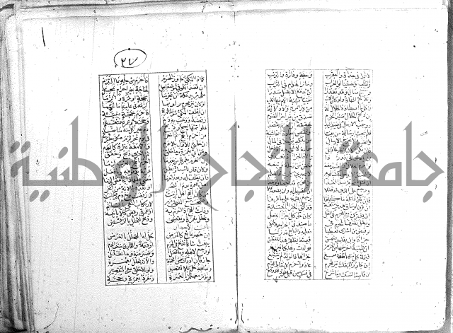 خلاصة التنوير 