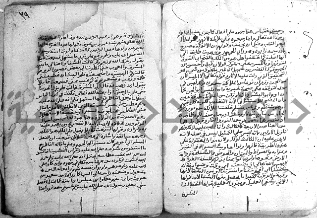 مجموع - كتاب اضاءات 