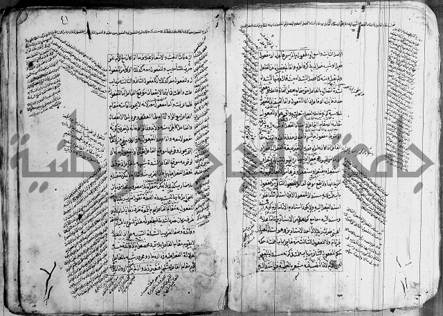 فوائد على الكافية 