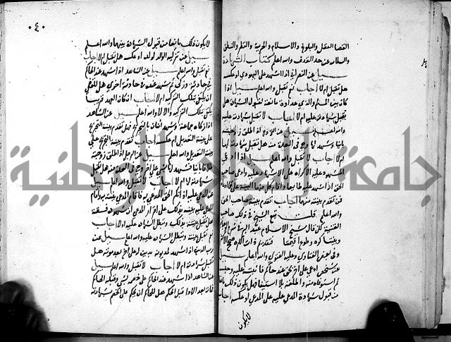 الفتاوى الامينية