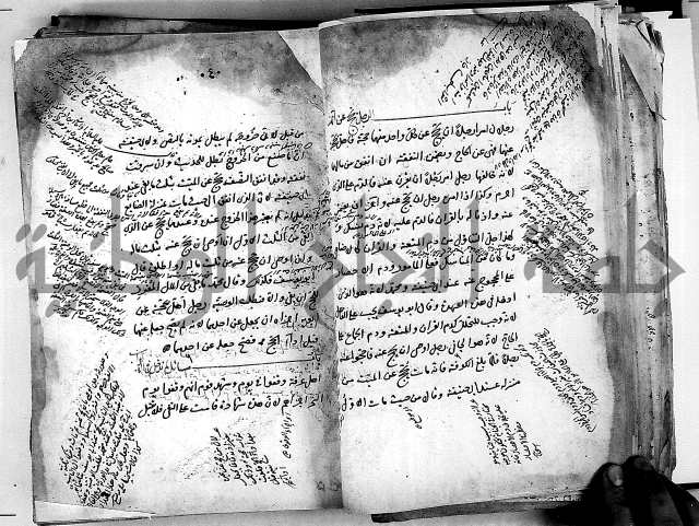 مذهب ابي حنيفة في الفقة