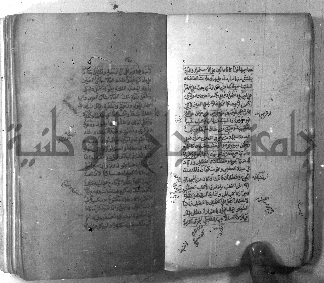 شرح الشافية 