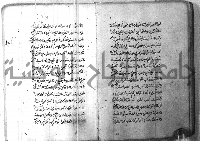 التفنن في الصرف