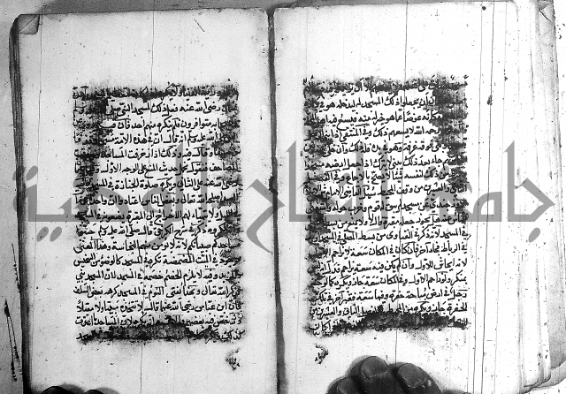 رسالة في الاحتساب