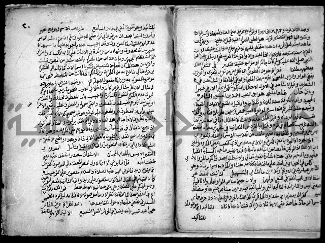 حاشية السجاعي على شرح قطر الندى وبل الصدى لابن هشام