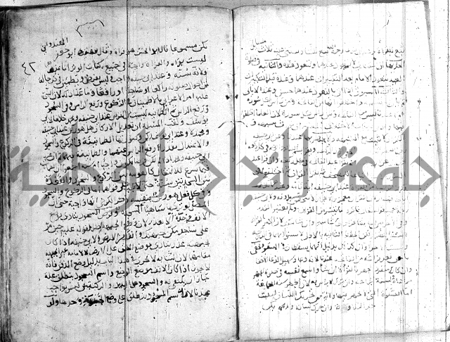 الفتاوى الولوالجية  