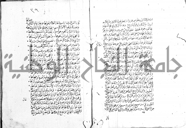 كتاب في الادب 