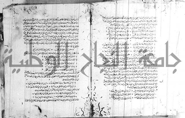 شرح لامية العجم 