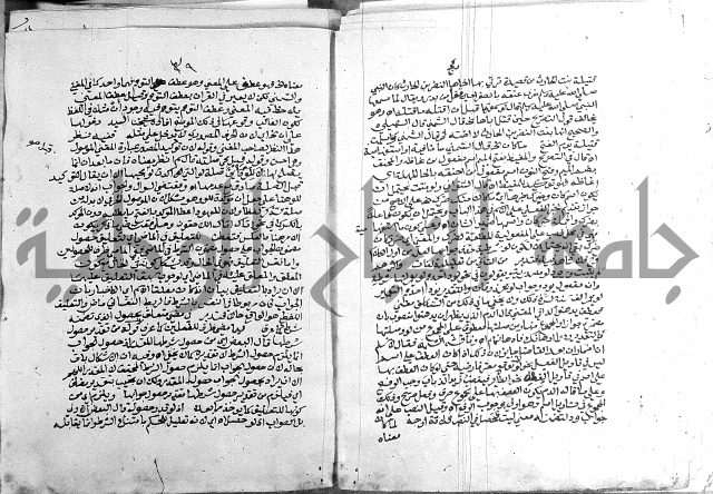 كتاب في اللغة العربية