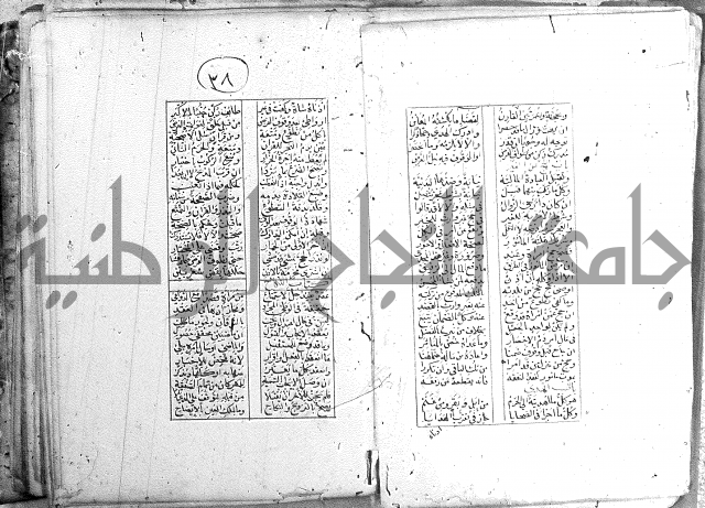 خلاصة التنوير 