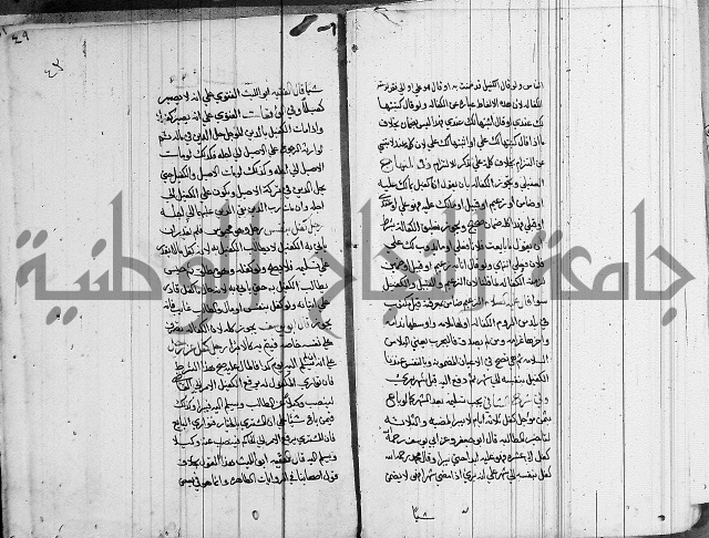 لسان الحكام