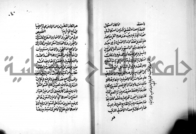 الرسالة البيانية