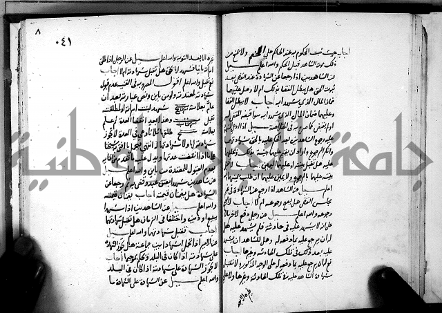 الفتاوى الامينية