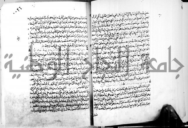 البحر الفائض في شرح ديوان ابن الفارض البوريني 