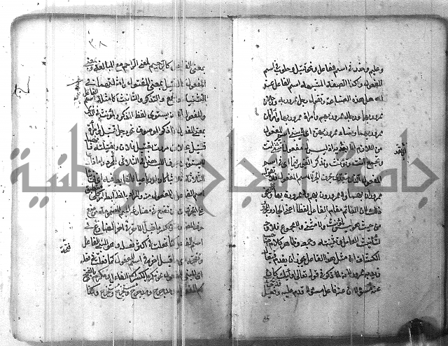 التفنن في الصرف