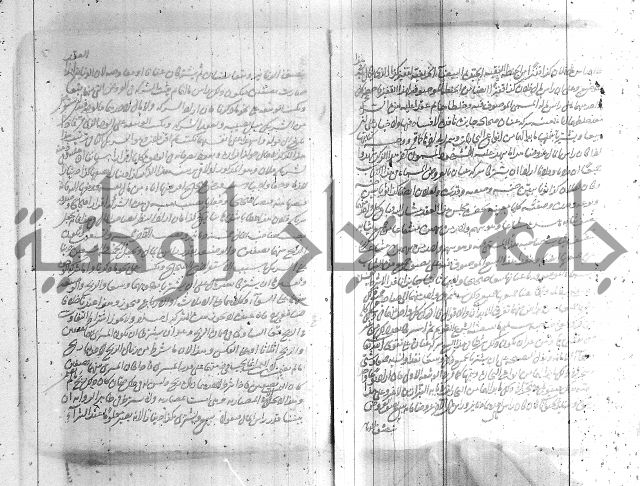 البسيط في الشروط