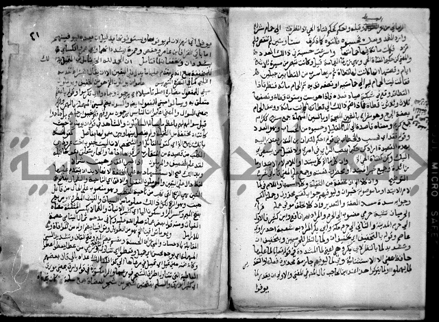 حاشية السجاعي على شرح قطر الندى وبل الصدى لابن هشام