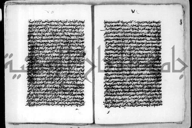 حاشية الشبراملي على شرح الورقات لابن قاسم العبادي