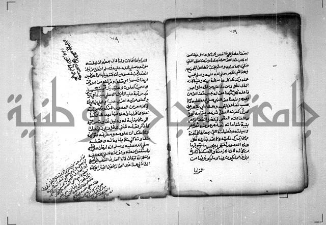 شرح الهمزية  