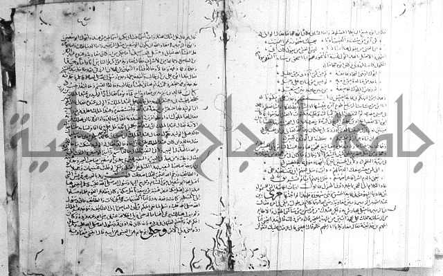 شرح لامية العجم 