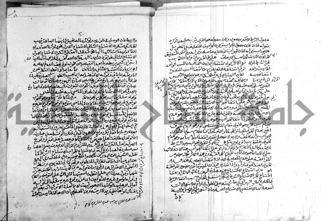 كتاب في اللغة العربية