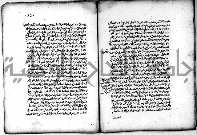 فقة من مخطوطات مسجد الحاج نمر النابلسي 