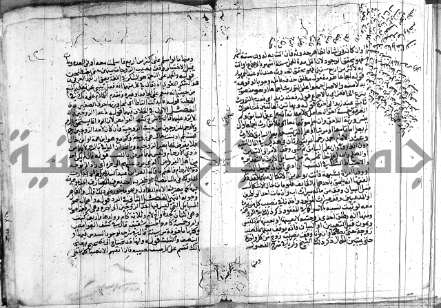 حاشية على الشنشوري