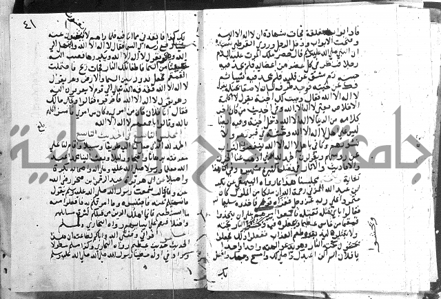 المجالس السنية-كتاب شرح الاربعين نووية