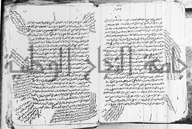 الزيادي على المنهج 