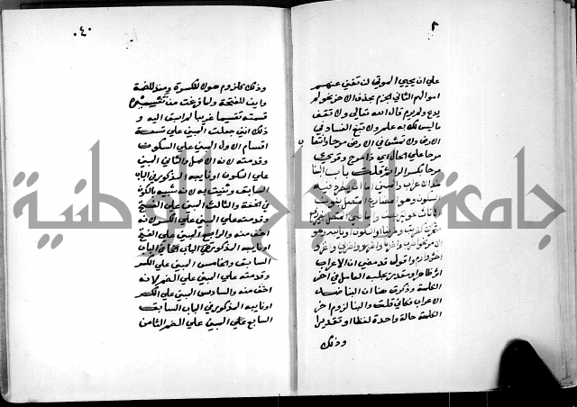 شرح شذور الذهب في معرفة كلام العرب 