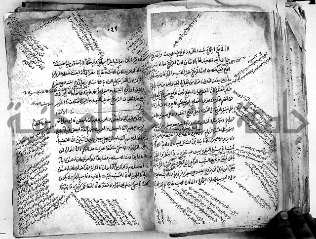 مذهب ابي حنيفة في الفقة