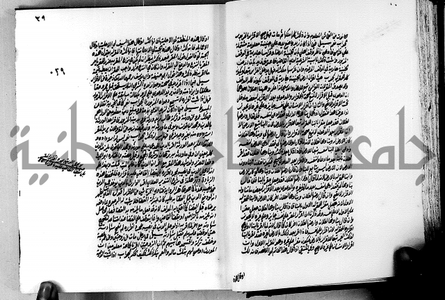 الجواهر الدورية في تنقيح الفتاوى الحامدية ج2 