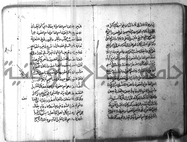 التفنن في الصرف