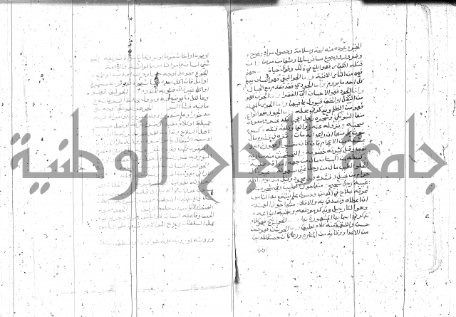 التعريفات الهامة