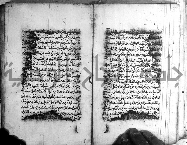 رسالة في الاحتساب