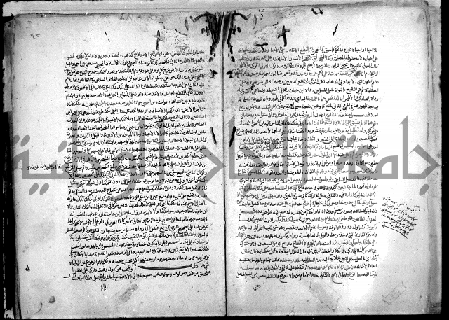 نهاية المحتاج الى شرح النهاج 2