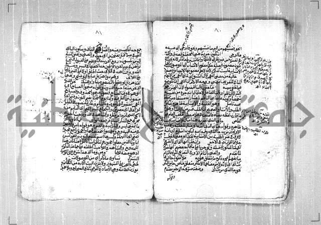 فتح الجليل  على شرح ابن عقيل 