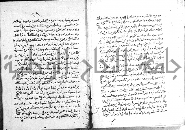 حواشي شرح الأجرومية = الحواشي المحكمة على ألفاظ المقدمة.